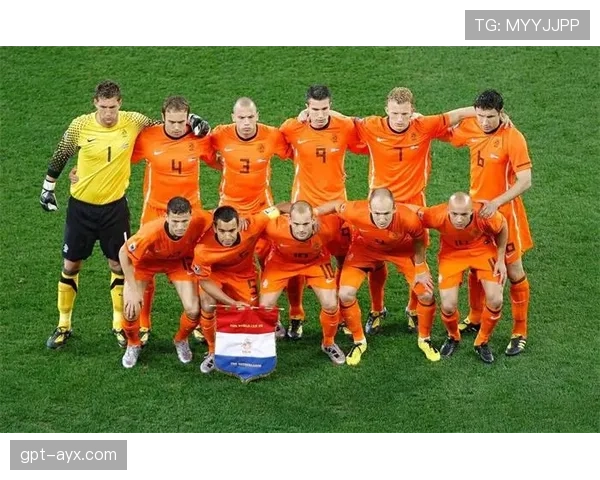 荷兰国家队公布欧锦赛大名单,群星云集引球迷热盼 荷兰国家队公布欧锦赛大名单,群星云集引球迷热盼